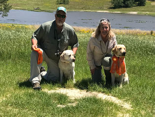 Retriever Training South Carolina Webfoot Retrievers